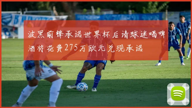 波黑前锋承诺世界杯后请球迷喝啤酒将花费275万欧元兑现承诺