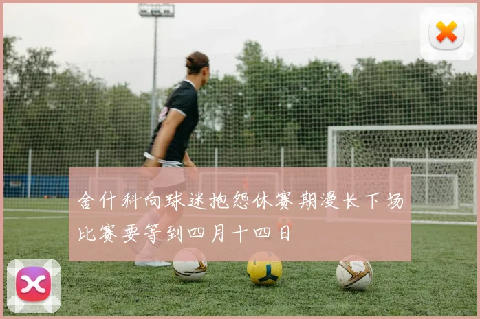 舍什科向球迷抱怨休赛期漫长下场比赛要等到四月十四日